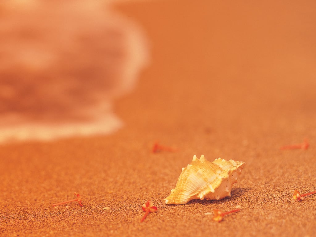 صور خلفيات