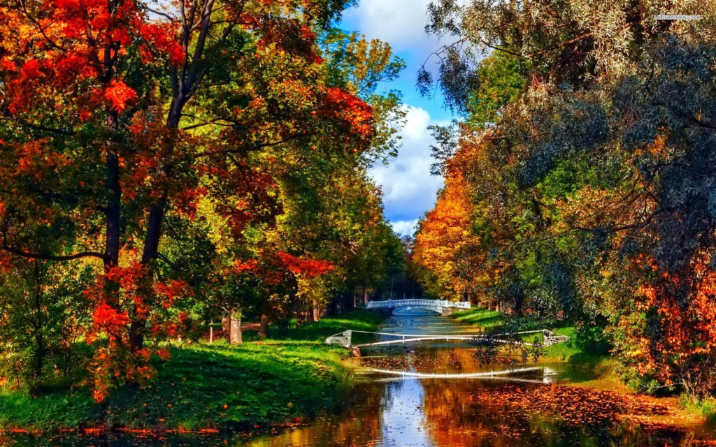 صور خلفيات