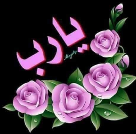 صور خلفيات