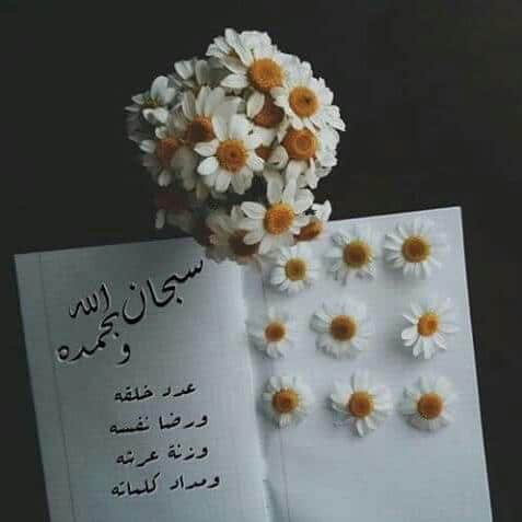 صور دينيه : كلام وصور دينية جميلة، اجمل الصور الاسلامية النادرة 