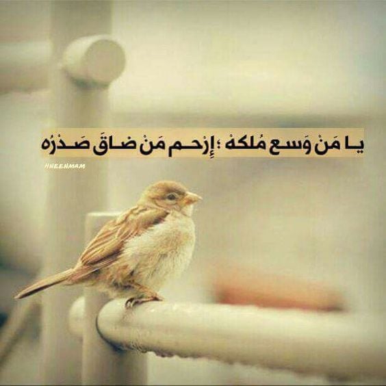 صور دينيه : كلام وصور دينية جميلة، اجمل الصور الاسلامية النادرة 