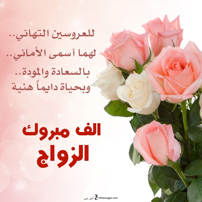 صور زواج