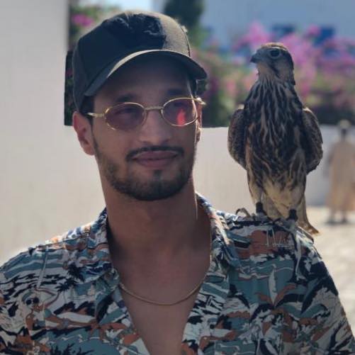 صور سولكينغ