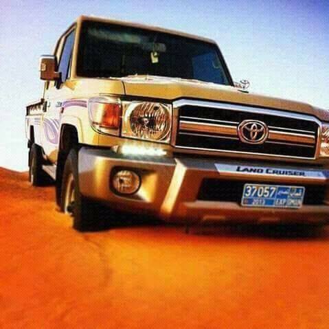 صور شاص