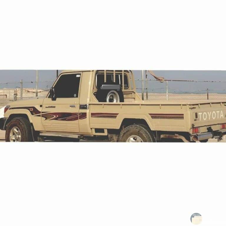 صور شاص