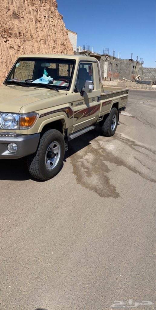 صور شاص