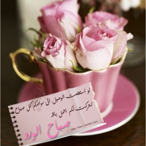 صور صباحيه 