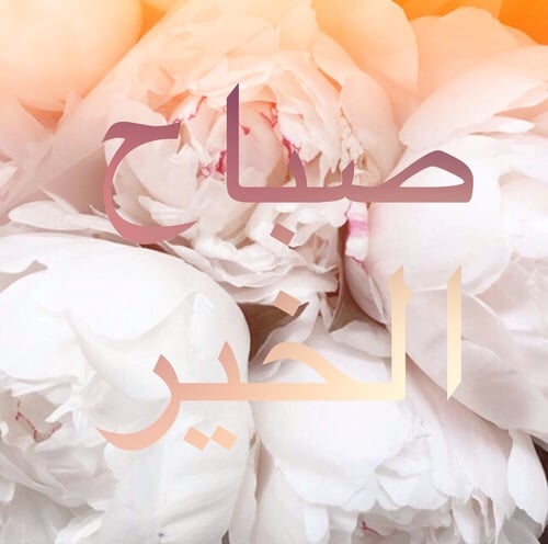 صور صباحيه 