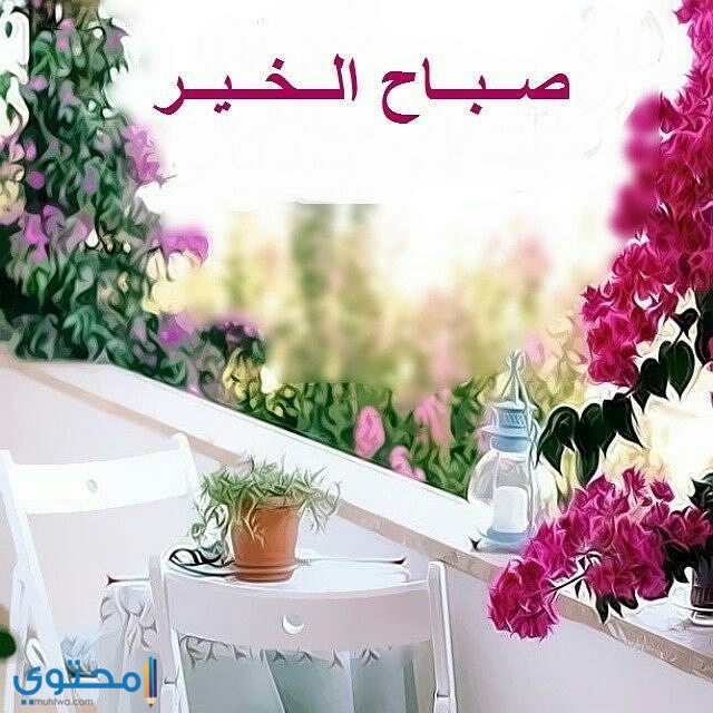 صور صباحيه 