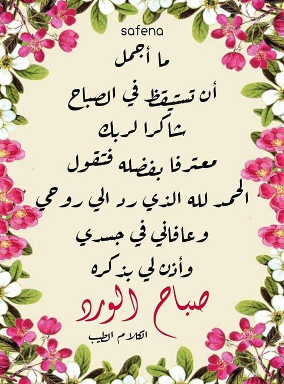 صور صباحيه 