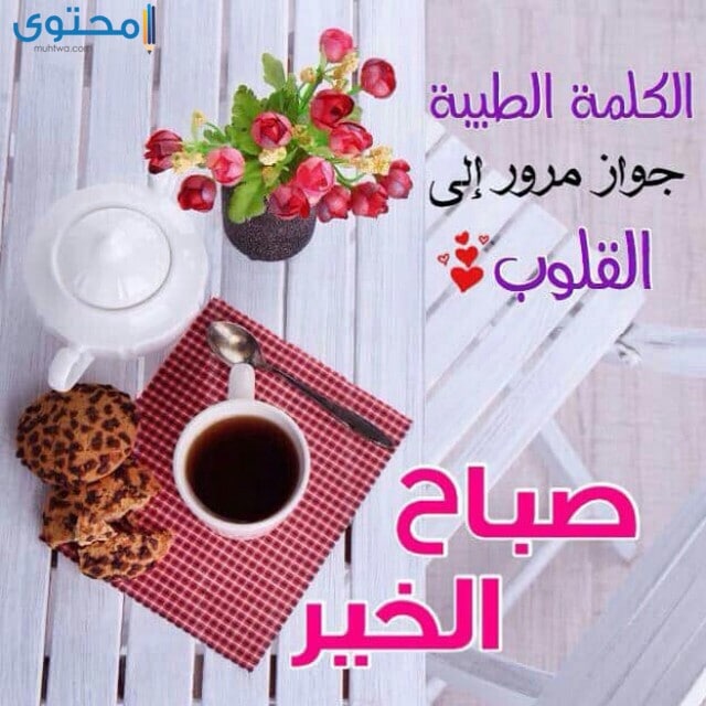 صور صباحيه 