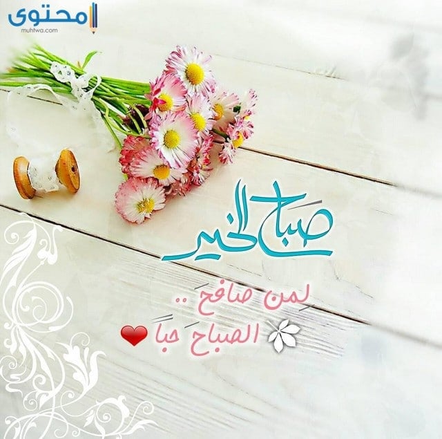 صور صباحيه 