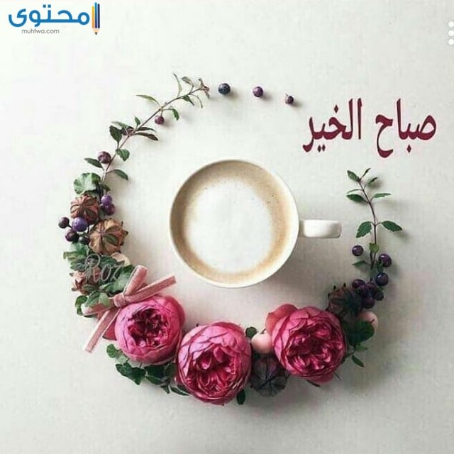 صور صباحيه 