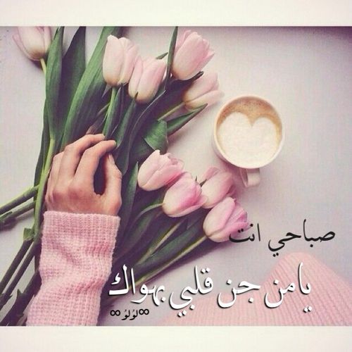 صور صباحيه 