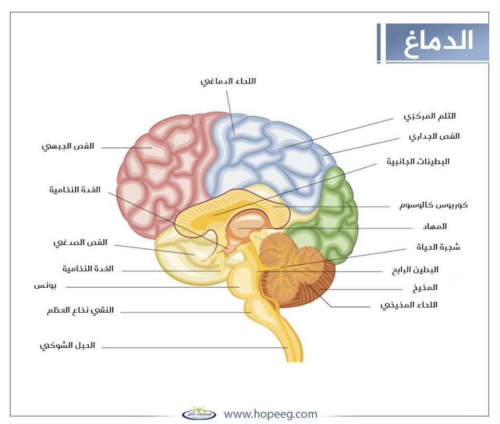 صور عن اضرار المخدرات 2020