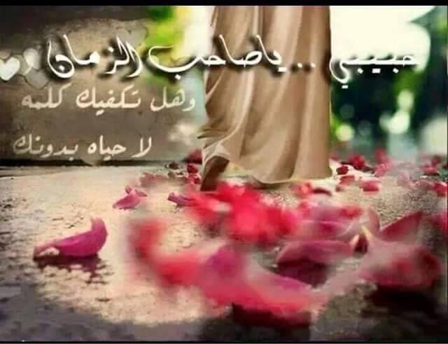 صور عن الامام المهدي