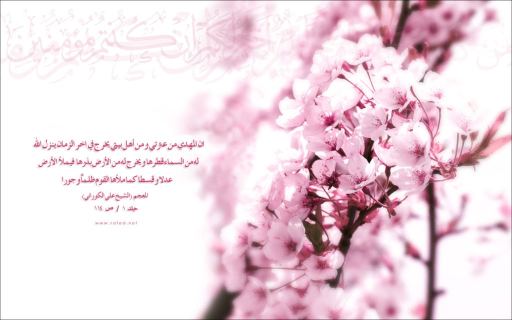 صور عن الامام المهدي