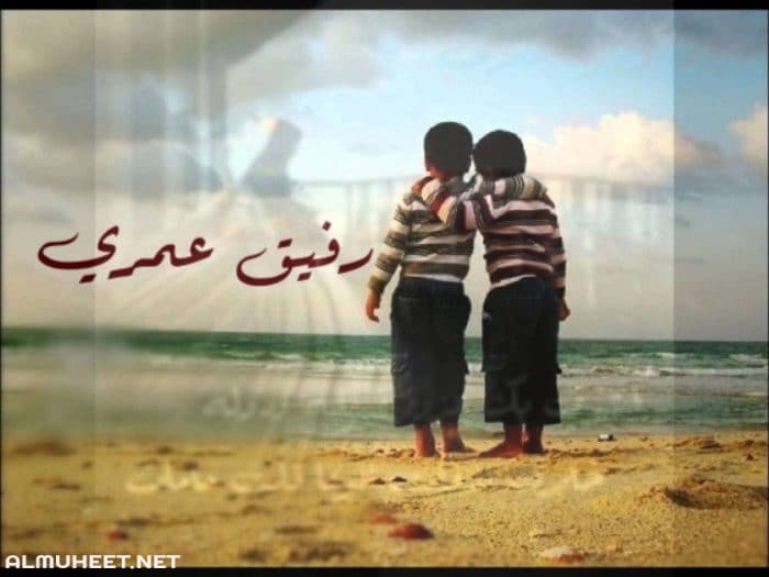 صور عن الصداقه