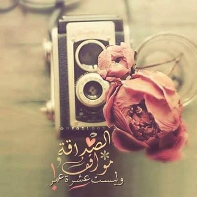 صور عن الصداقه