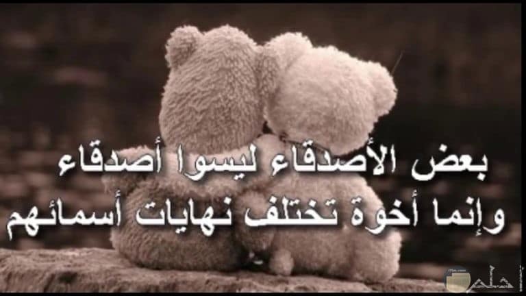 صور عن الصداقه