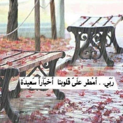صور عن المطر