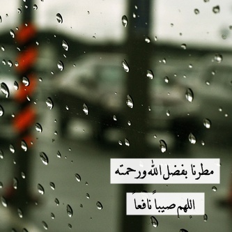 صور عن المطر