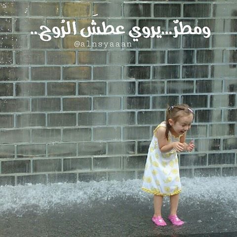 صور عن المطر