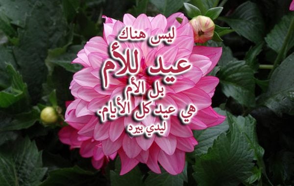صور عيد الام