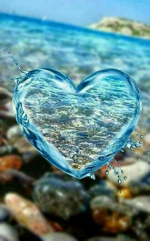 صور فخمه