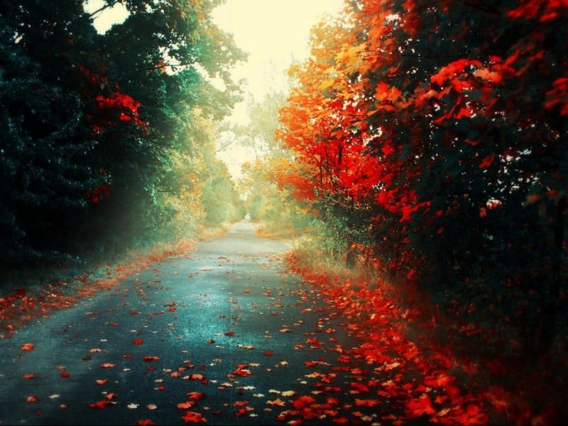 صور فخمه