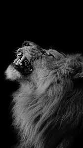 صور فخمه