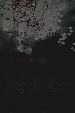 صور فخمه