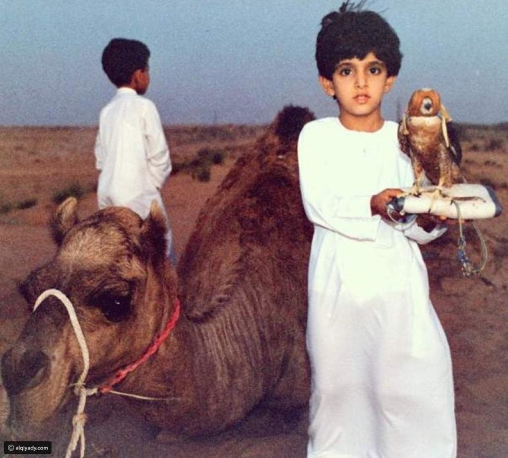 صور فزاع