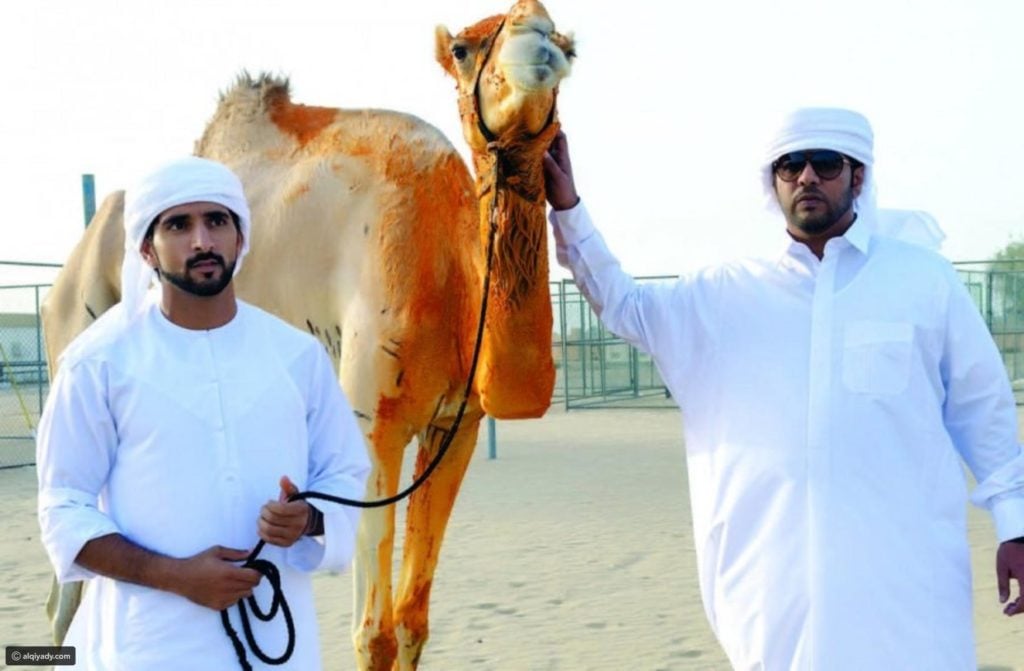 صور فزاع