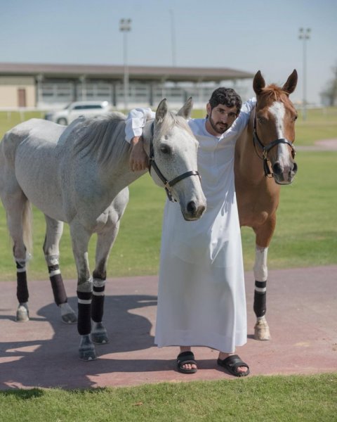 صور فزاع