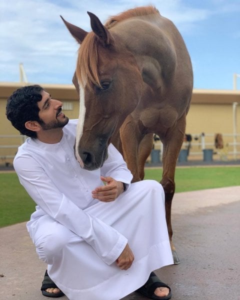 صور فزاع