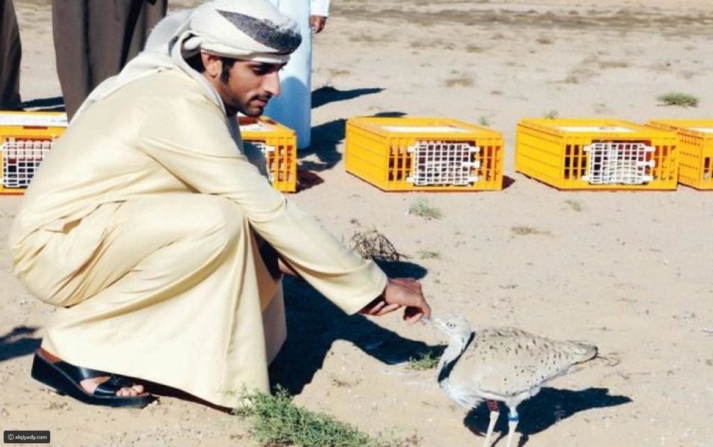 صور فزاع