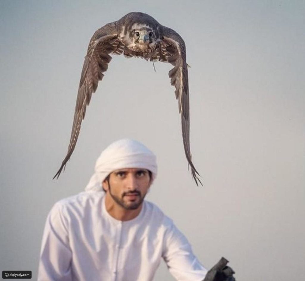 صور فزاع
