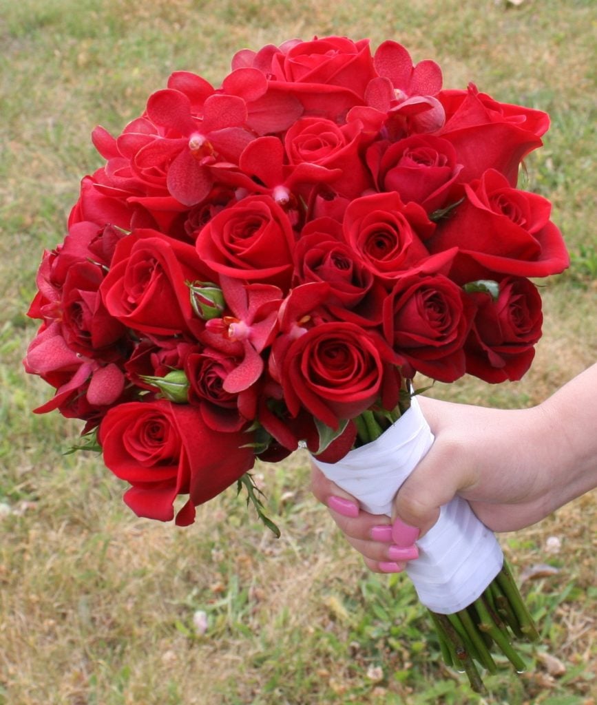 صور للورود