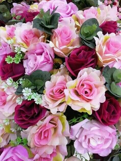 صور للورود