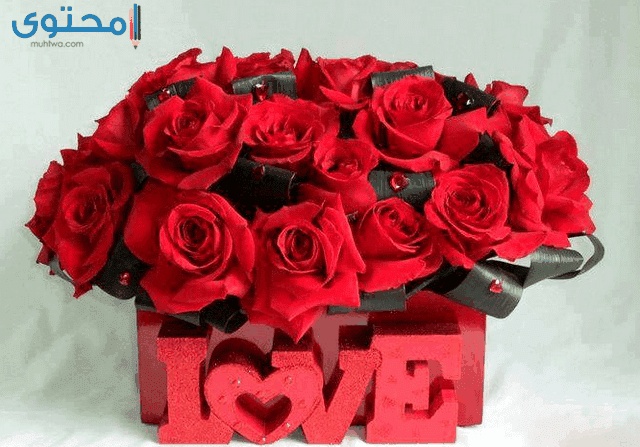 صور للورود