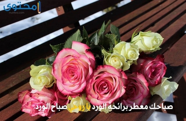 صور للورود