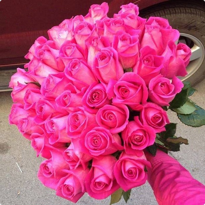 صور للورود