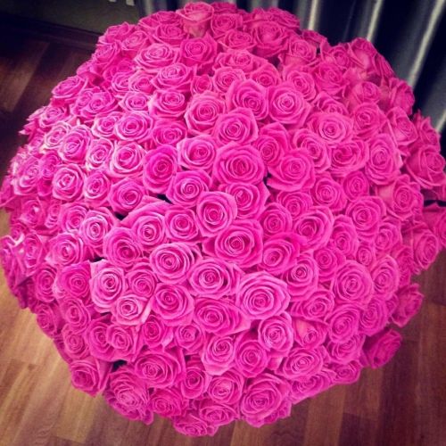صور للورود