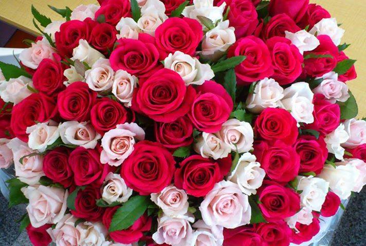 صور للورود