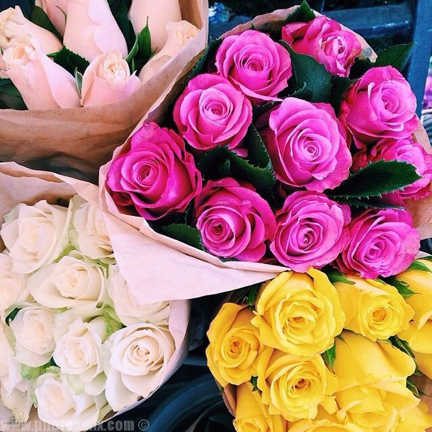 صور للورود