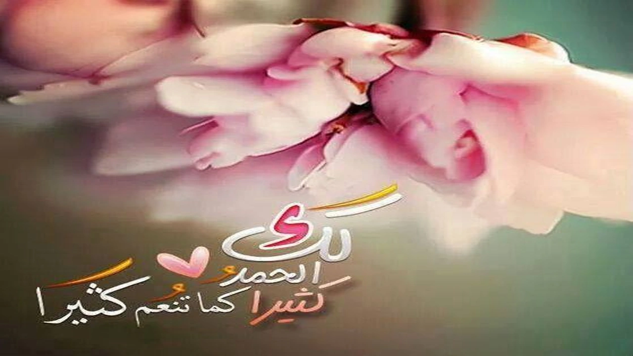 صورة صور للورود