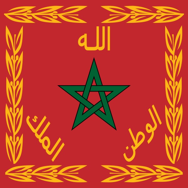 صور للوطن