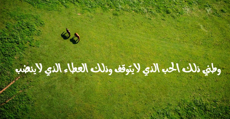 صور للوطن