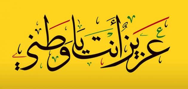 صور للوطن